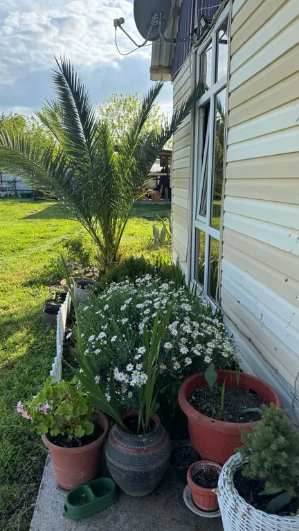 Гостевой домик Поле