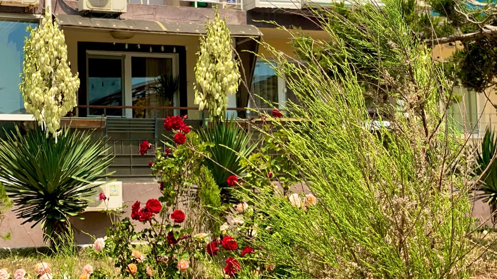 Семейные апартаменты 30 метрах до пляжа