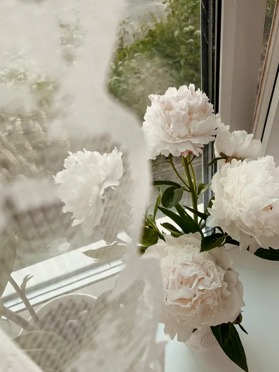 Квартира на берегу Волги