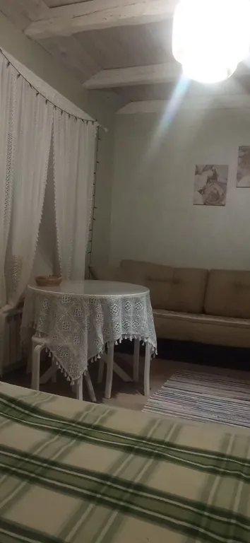 Студия Сканди Олива