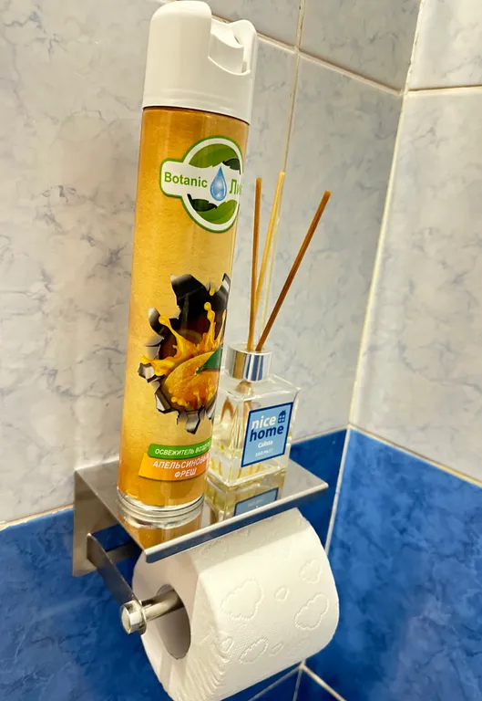 Просторная трехкомнатная квартира