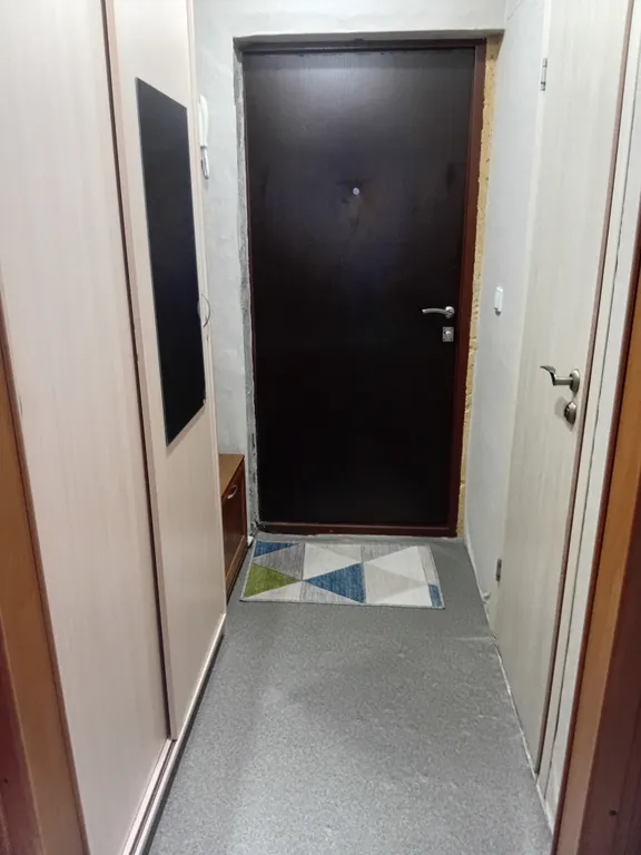 Квартира 1-комнатная Квартира — Янино-1