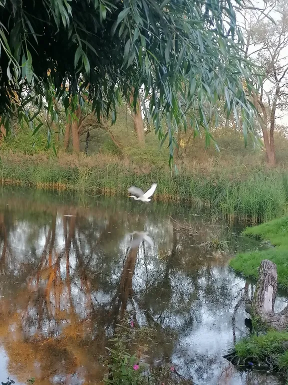 Уютная квартира у вокзала