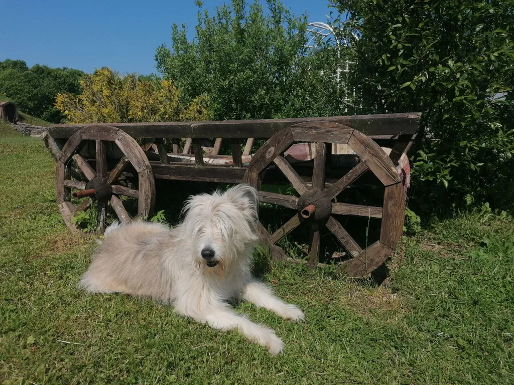 Коттедж Домик хоббита — Синковицы