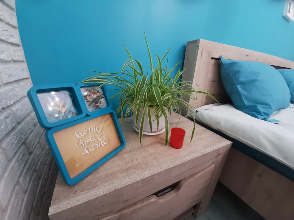 Студия Баунти