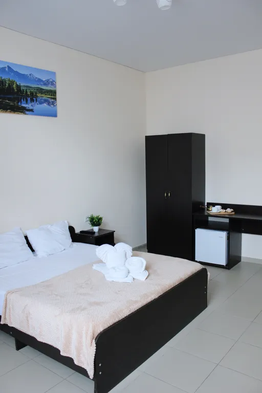 Квартира Комната — аренда посуточно в Гагра