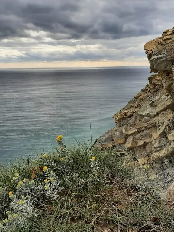 Видовая уютная студия рядом с морем