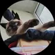 Любовь