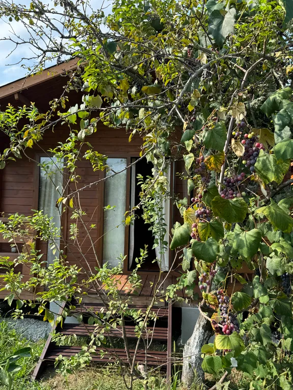 Коттедж Домик со всеми условиями — Сухум