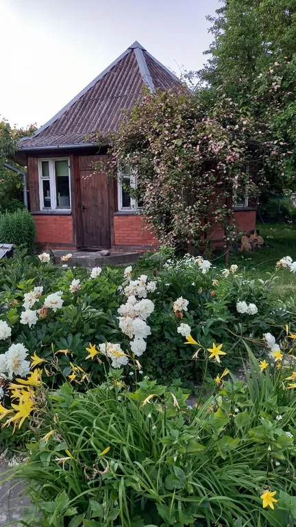 Коттедж Домик около моря — Зеленоградск