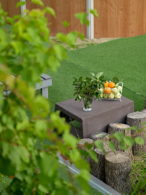 Гуси Лебеди