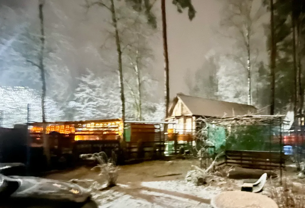 Уютный дом с гусями