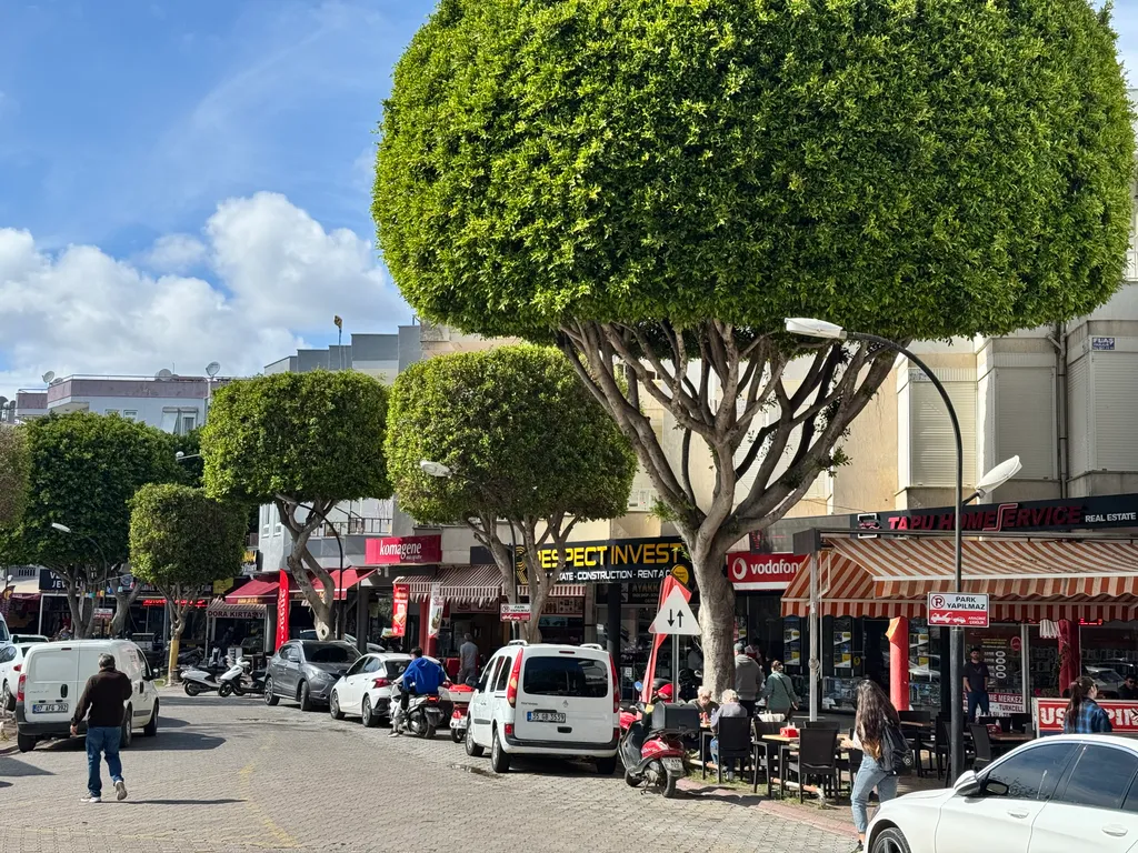 Новая квартира в Авсалларе