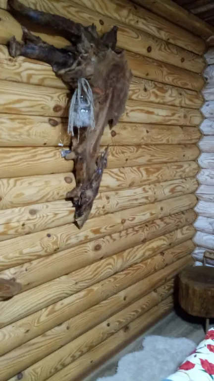 Уютный домик из Сибирской сосны