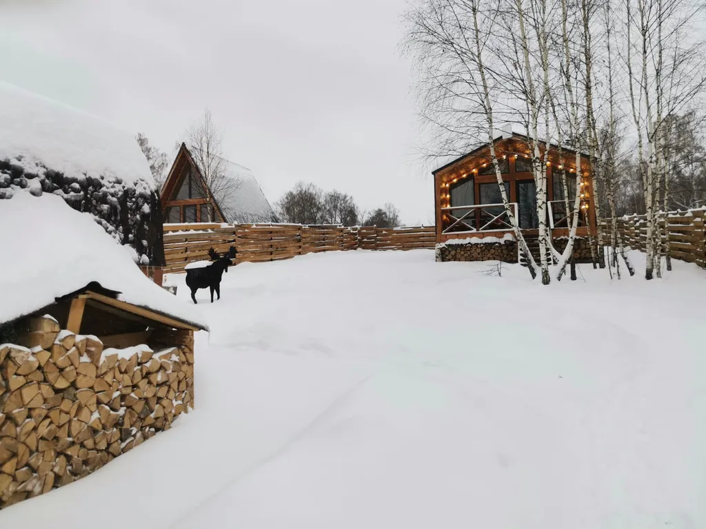 Барнхаус ЗИМА с подогреваемой купелью