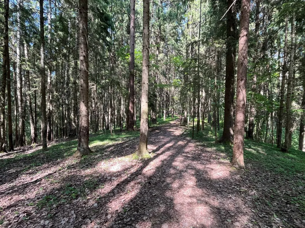 Уютный дом для семейного отдыха