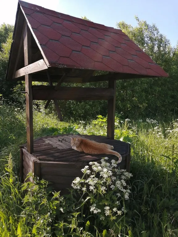 Комната с собственной терассой на крыше