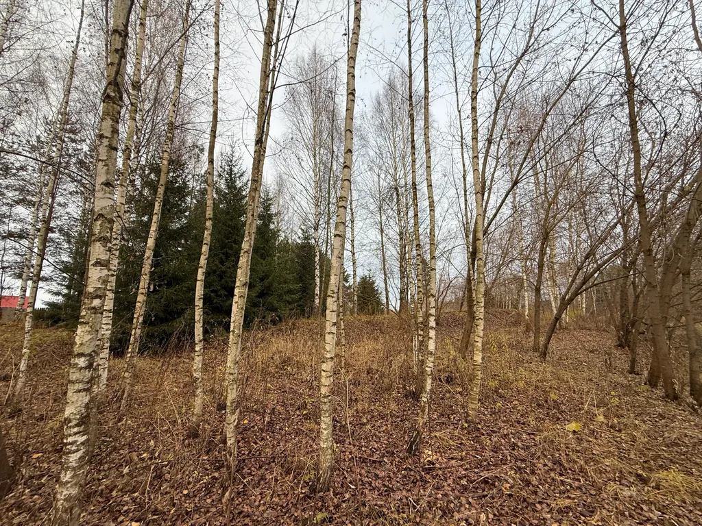 Загородный дом