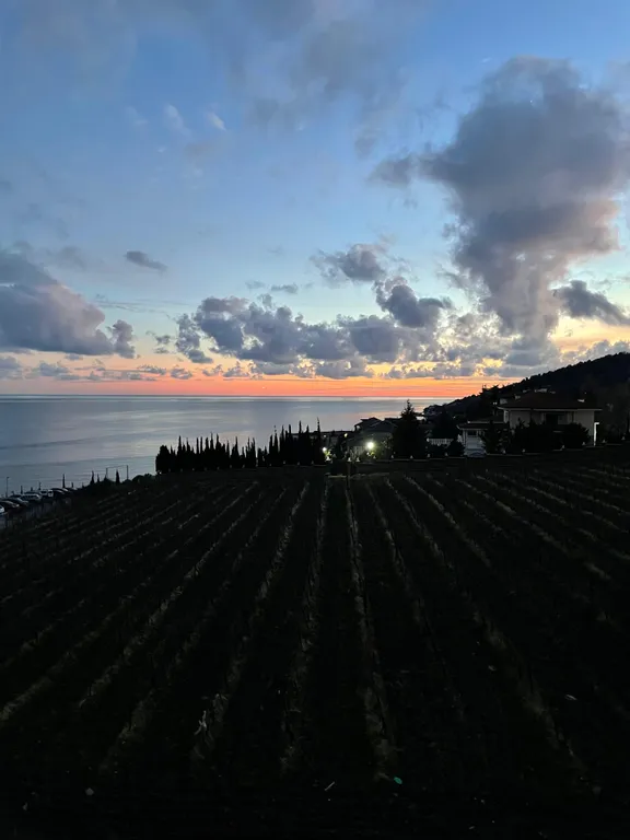 Апартамент с потрясающим видом на море и виноградники