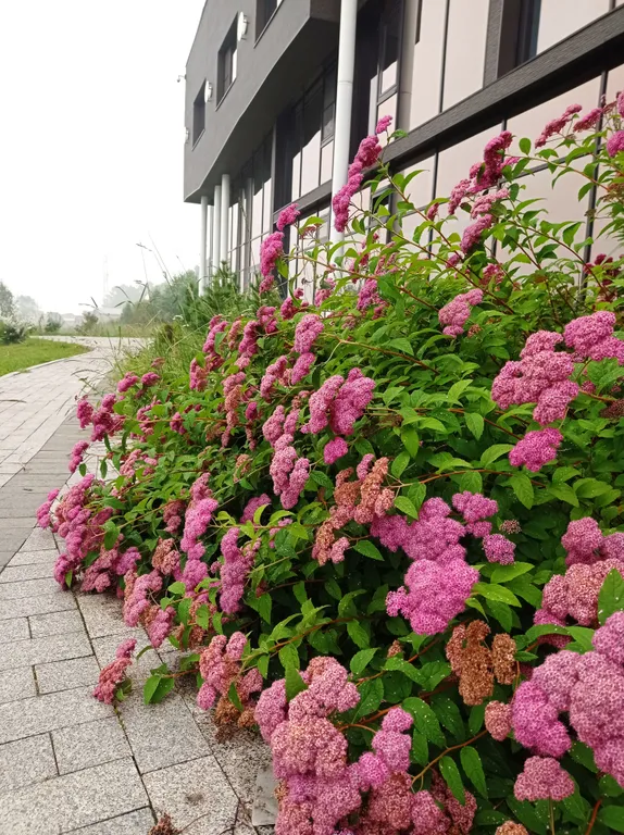 Апартаменты Дом вдали от дома с камином на Байкале