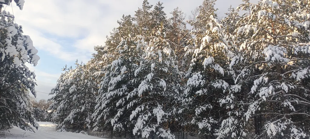 Лесной домик