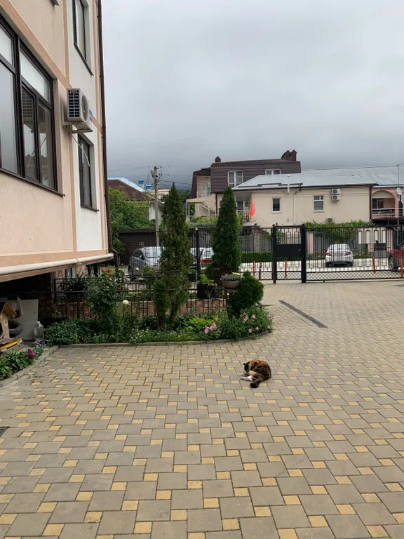 Квартира Уютная квартира в центральной части города — Геленджик