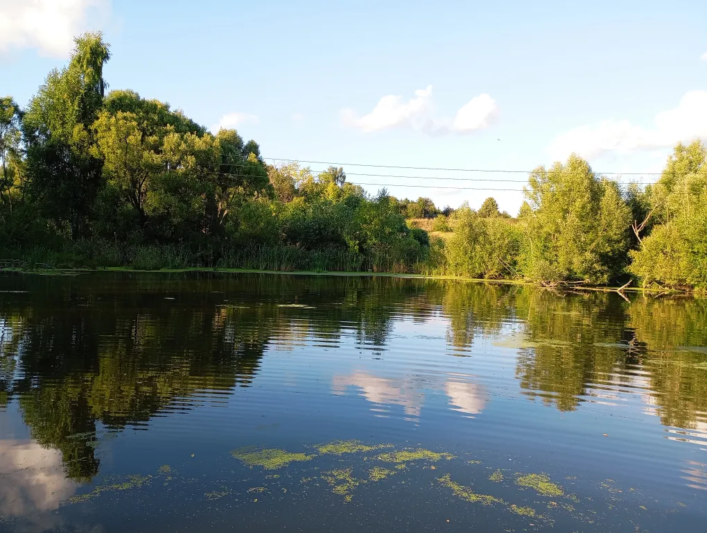 Изба с уютом детства, деревенский дом с баней и русским бытом