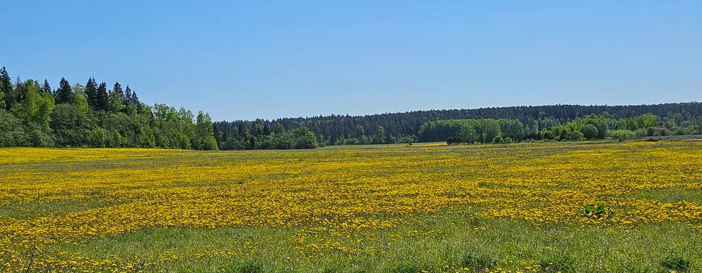 Уютный дом Солнечная поляна